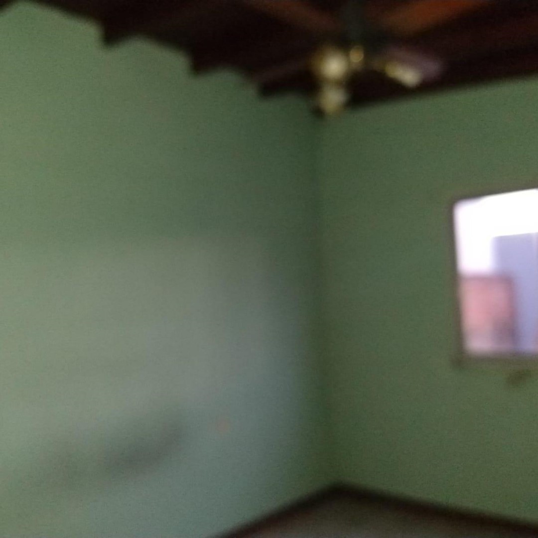 1902491158.jpg