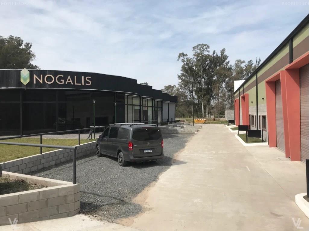 Noria Nogalis Exaltación 0