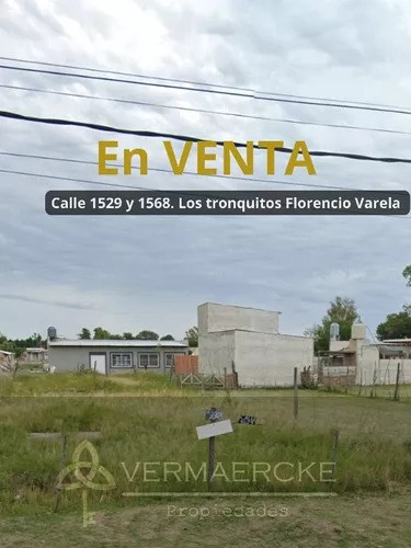 1529 y1568