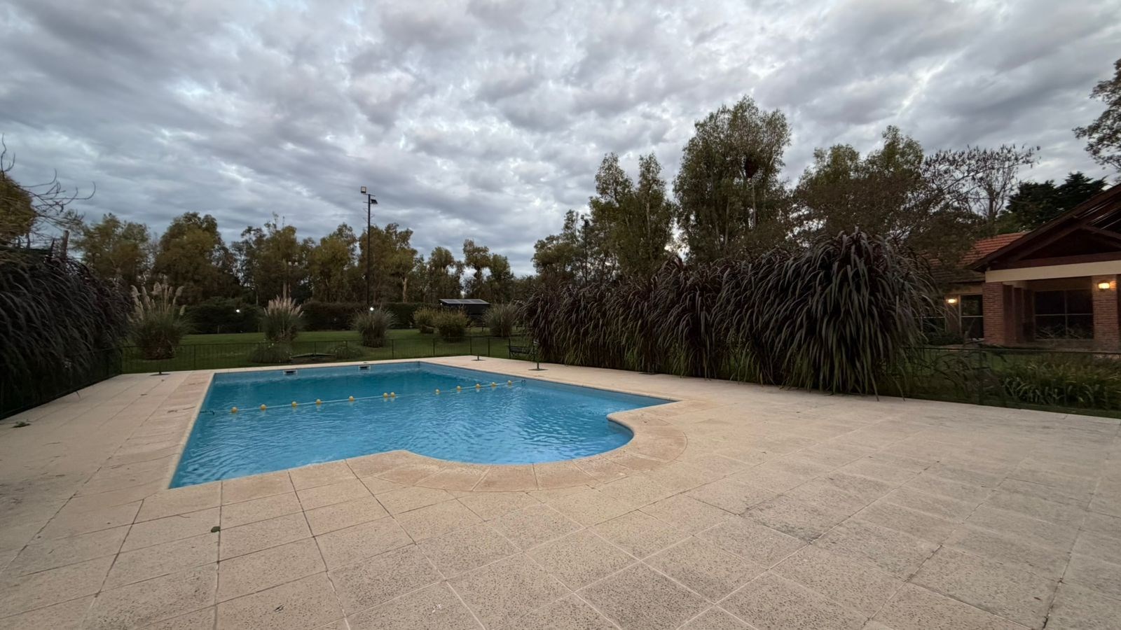 Los Potrillos - Fátima