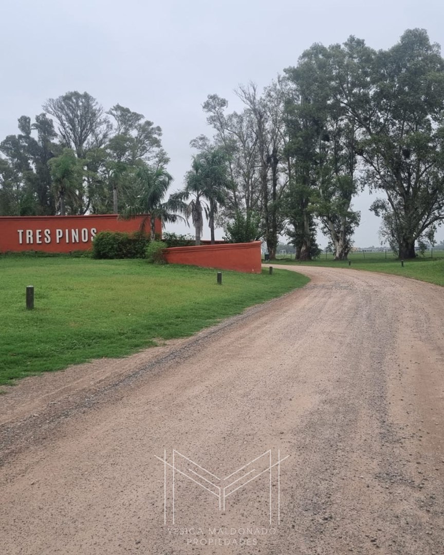 Tres Pinos, General Rodriguez,  Ruta 6 km 100