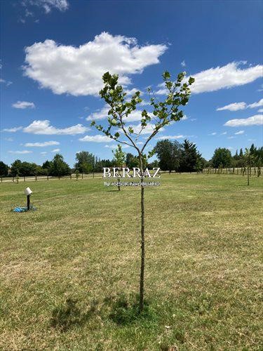 Terreno Lote  en Venta ubicado en La Ranita, Pilar, G.B.A. Zona Norte