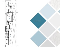 Imagen número 10457896