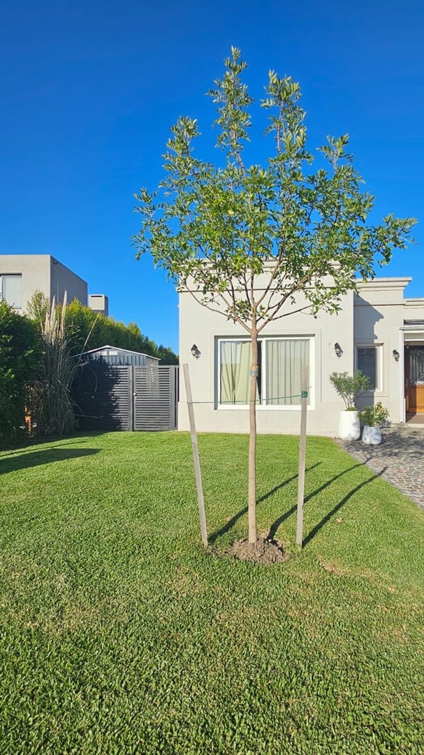 Casa en Venta en San Gabriel, Villanueva — foto 2