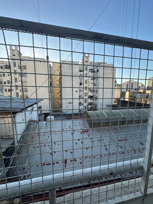 Larrea 300 - foto 16