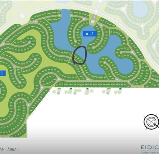 6500996_62924938971835239231432760760393939894660232186128771834847623335006853214819.jpg