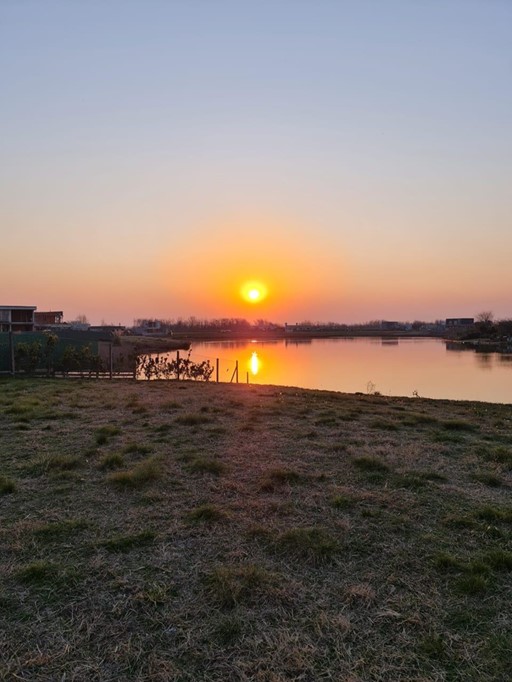 6777466_55792904624432697724530482894644809718395393994187450210055297535575796693929.jpg