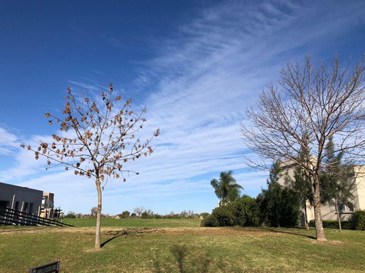 3464813556009804348688936755021901233897409381665050538097264495920901874639.jpg