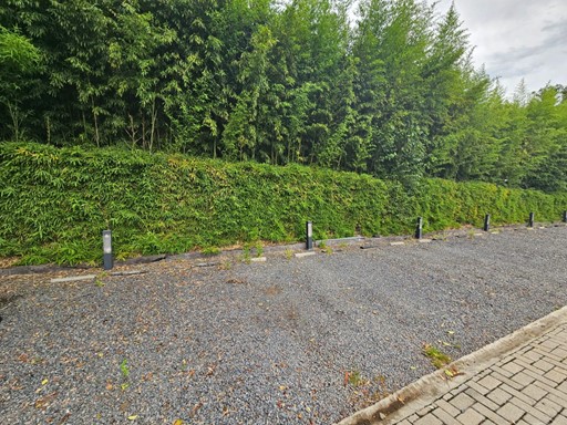 6710038_103177497919126320034457209374050811235643329896543926007653868923638192333514.jpg