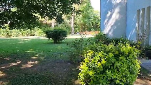 4091956_72200527867303997913331761977454693471450838802740705837609067580489144110627.jpg