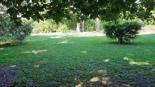 4091956_73036903478975118963167256589051259893287840423012952093998413366309940934110.jpg