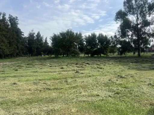6878975_55961780570897828877102866085146997536673891116357778530957126701931633525983.jpg
